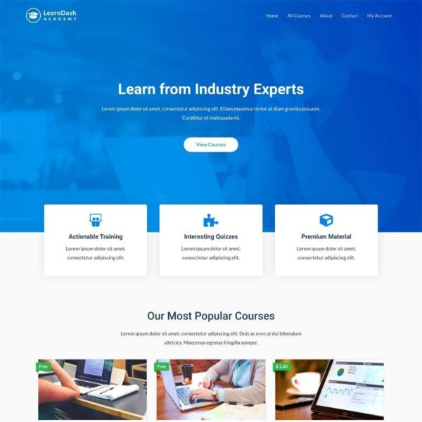 Free Wordpress Theme Elementor Supported