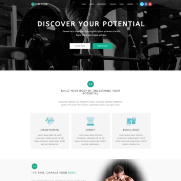 Free Wordpress Theme Elementor Supported