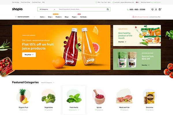 Ecommerce WordPress Theme