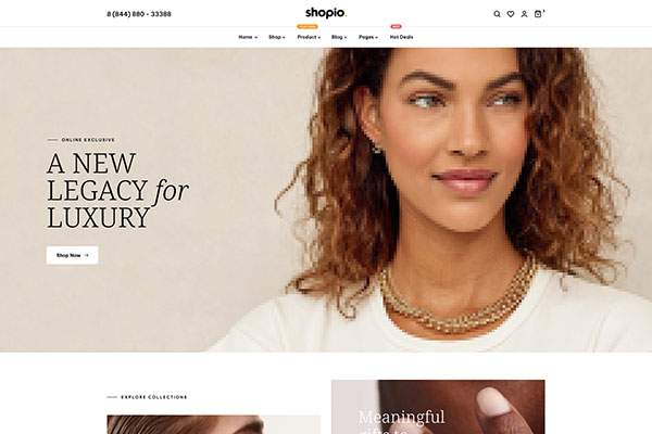 Ecommerce WordPress Theme