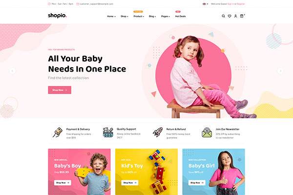 Ecommerce WordPress Theme