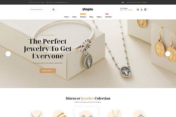 Ecommerce WordPress Theme