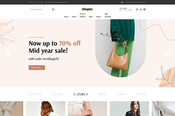 Ecommerce WordPress Theme