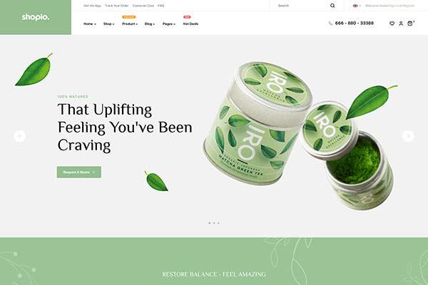 Ecommerce WordPress Theme