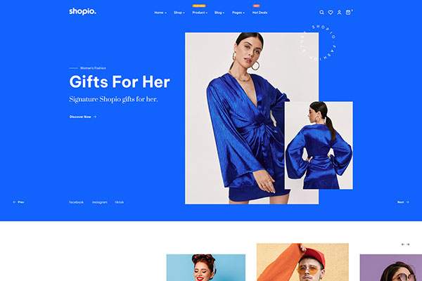 Ecommerce WordPress Theme