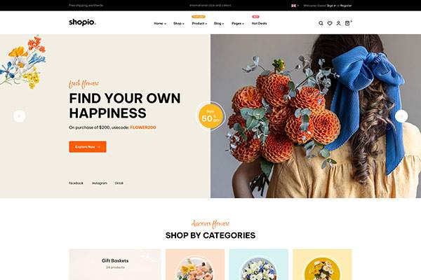 Ecommerce WordPress Theme