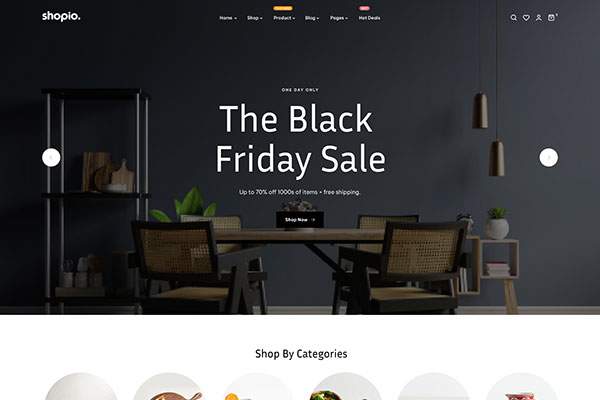 Ecommerce WordPress Theme