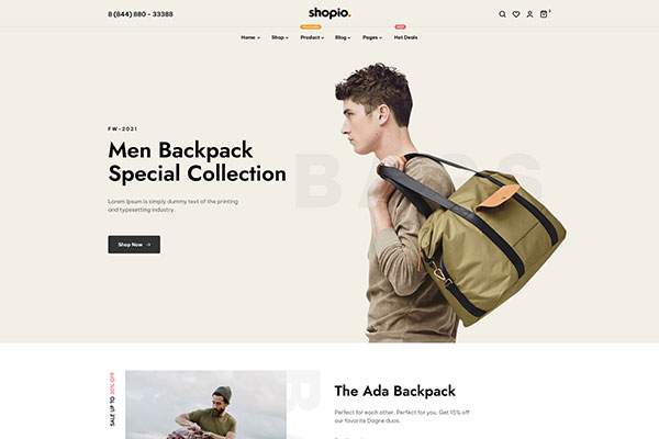 Ecommerce WordPress Theme