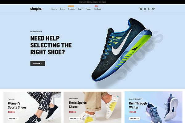 Ecommerce WordPress Theme