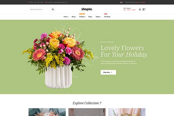 Ecommerce WordPress Theme