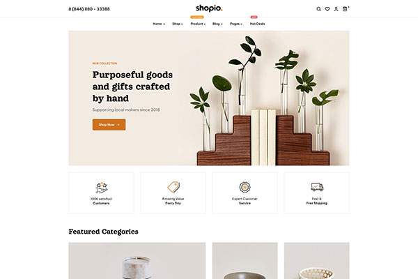 Ecommerce WordPress Theme