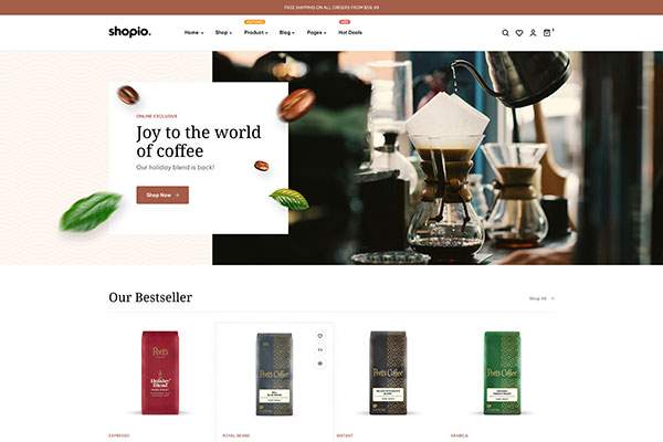 Ecommerce WordPress Theme