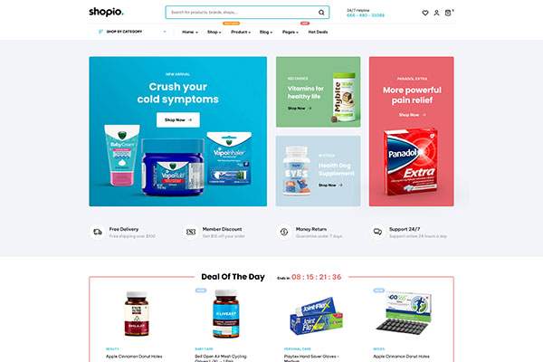 Ecommerce WordPress Theme